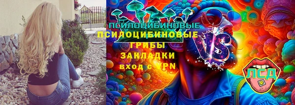 ешки Алзамай
