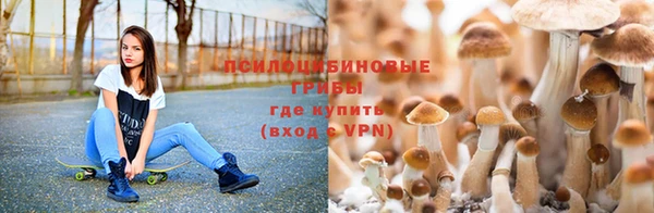 ешки Алзамай