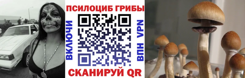 цена наркотик  это Telegram  Галлюциногенные грибы мухоморы  Бийск 